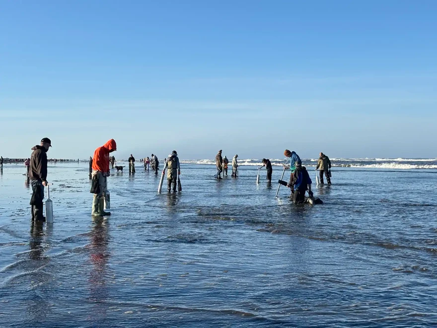 Twin Harbors Razor Clam Digging