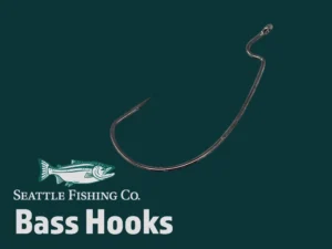 Bass Hooks