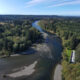 Bogachiel River Fishing