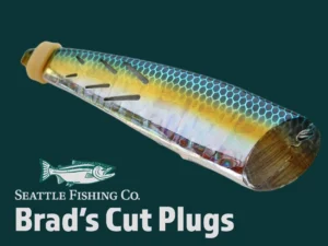 Cut Plugs