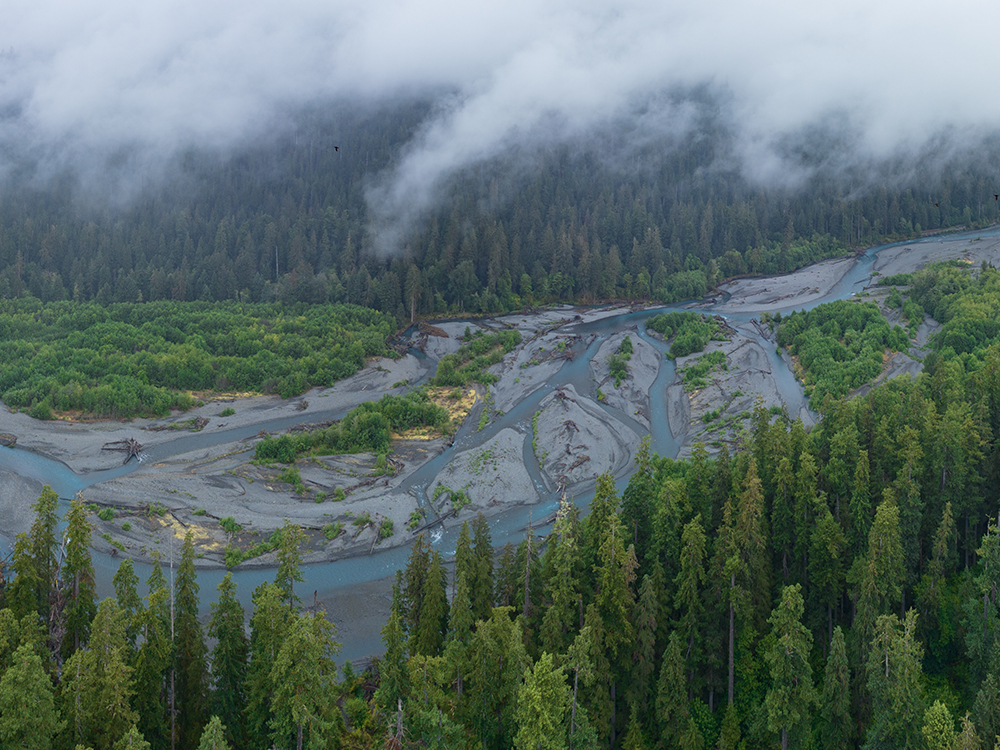 Hoh River Fishing