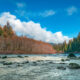 Queets River Fishing
