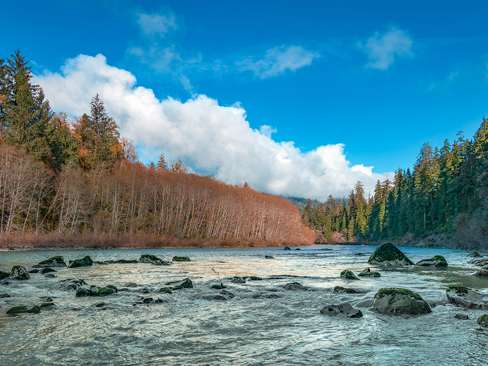 Queets River Fishing
